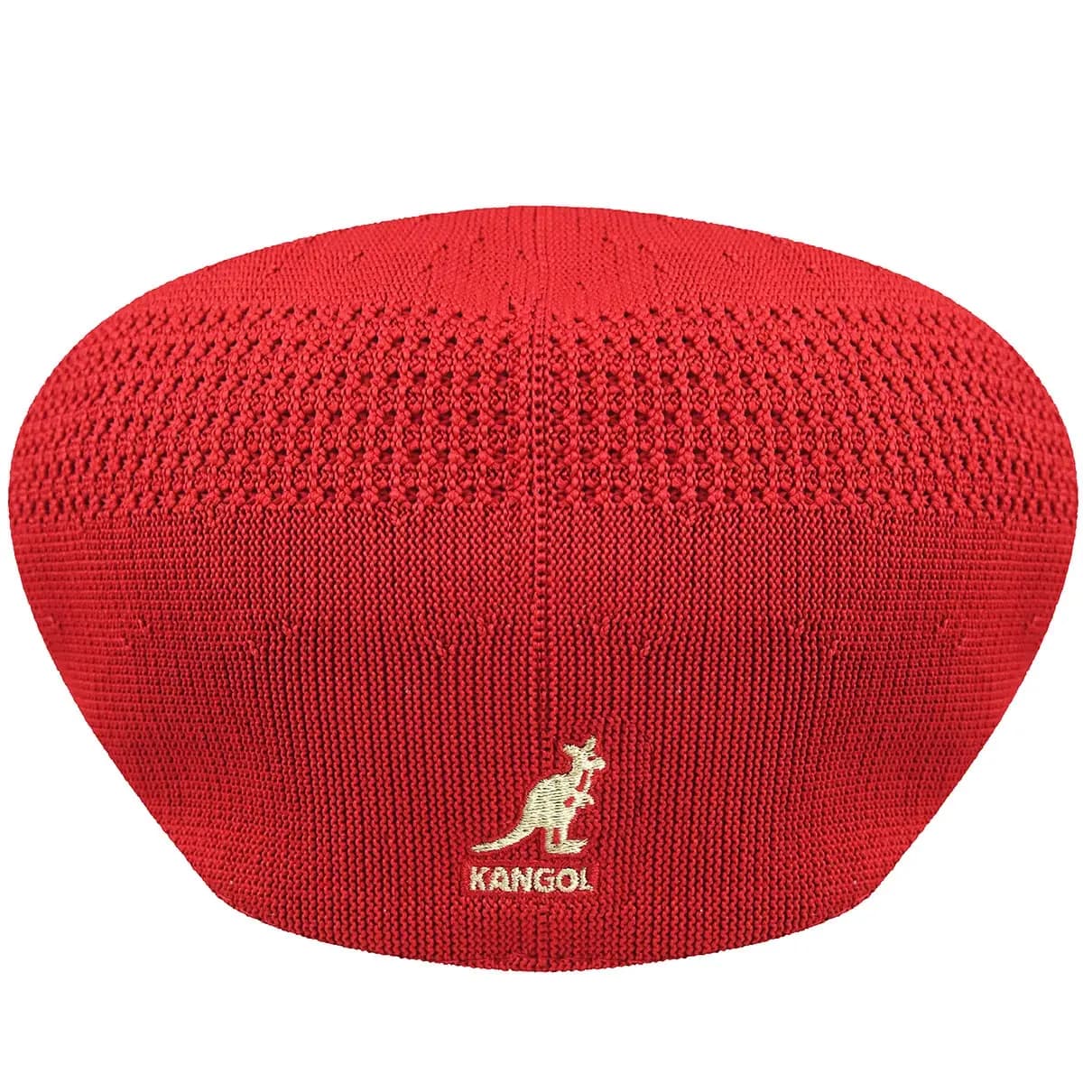 KANGOL Polyester Beret Unisex Çoxrəngli 10