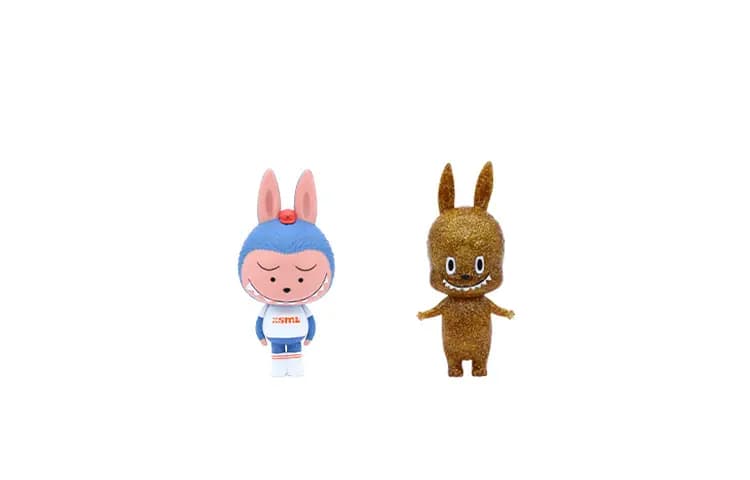 POP MART LABUBU Generation 2 Hidden Edition Small Hidden/Big Hidden Blind Box Single Confirmed Box Opened 9