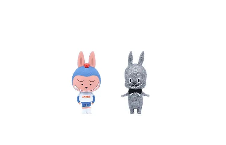 POP MART LABUBU Generation 2 Hidden Edition Small Hidden/Big Hidden Blind Box Single Confirmed Box Opened 8