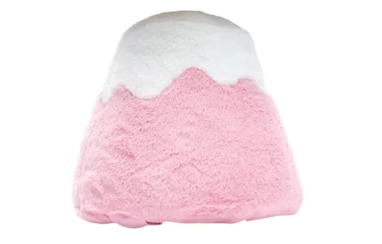 KAWS Figure Print Holiday Japan Mount Fuji Dolls Plush Doll 20cm High 2