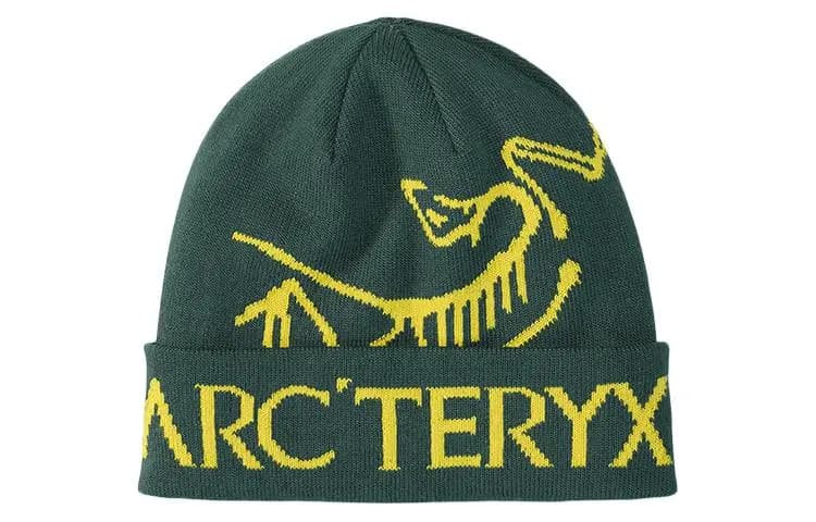 Arcteryx Bird Word Toque 3