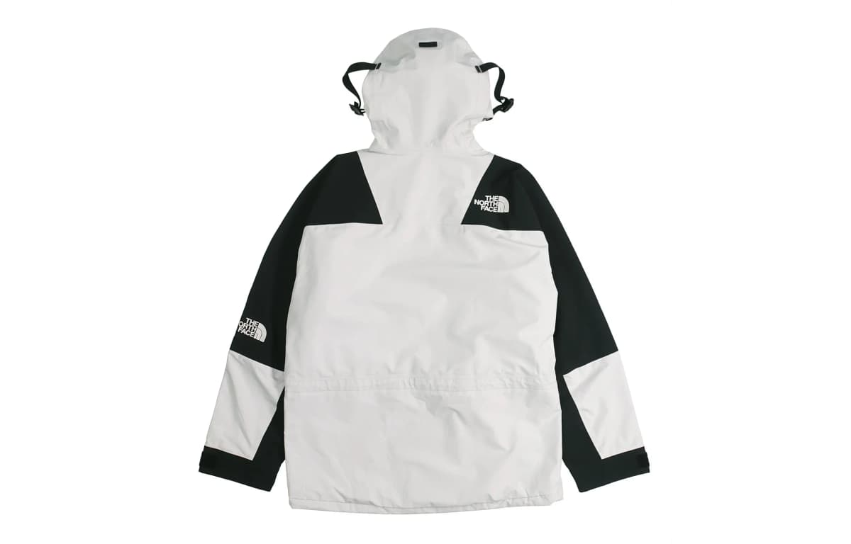 THE NORTH FACE 1994 Futurelight Mountain Jacket 2