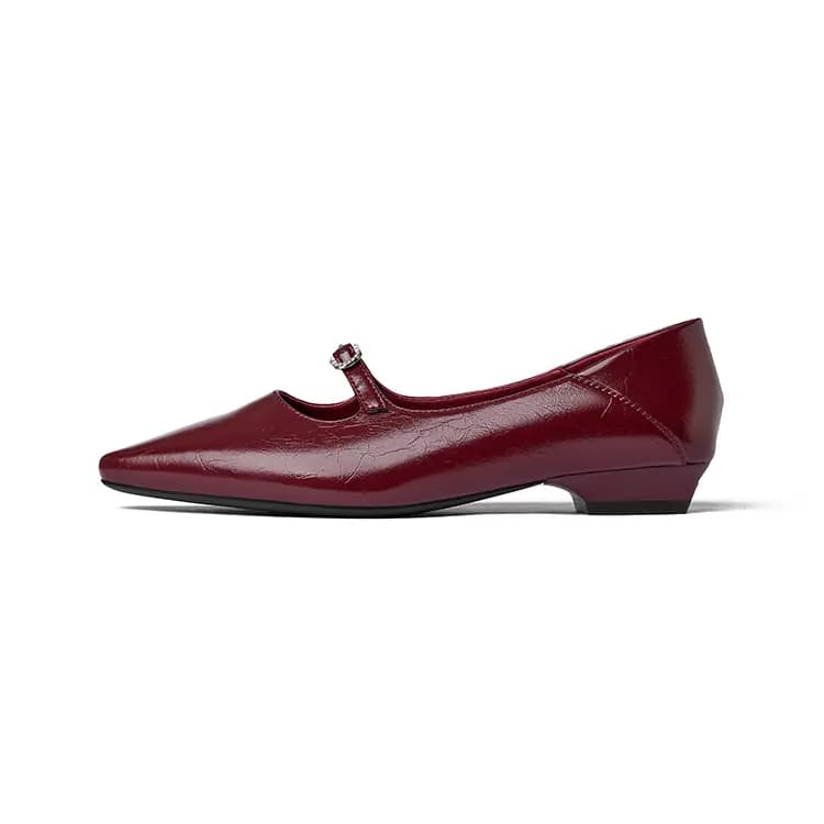 JOSINY Block Heel Mary Jane Shoes 2cm Women's 7