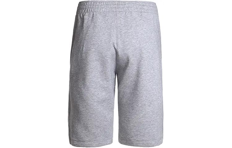 JORDAN Casual Shorts Men Gray 2