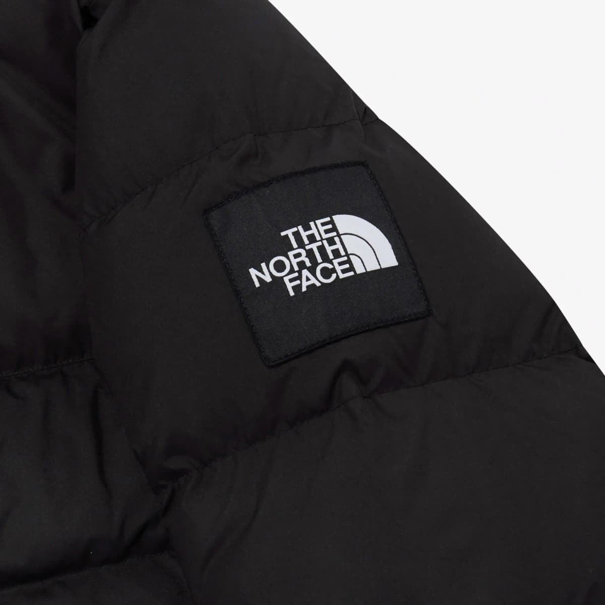 THE NORTH FACE 1992 Series HYBRID DOWN BALL EX Şişmə Gödəkçə Kişi Qara 5