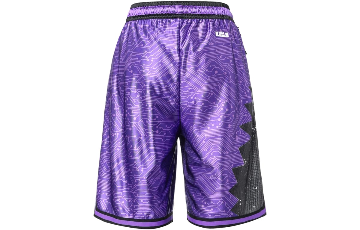 Nike Sports Shorts Men Purple 3