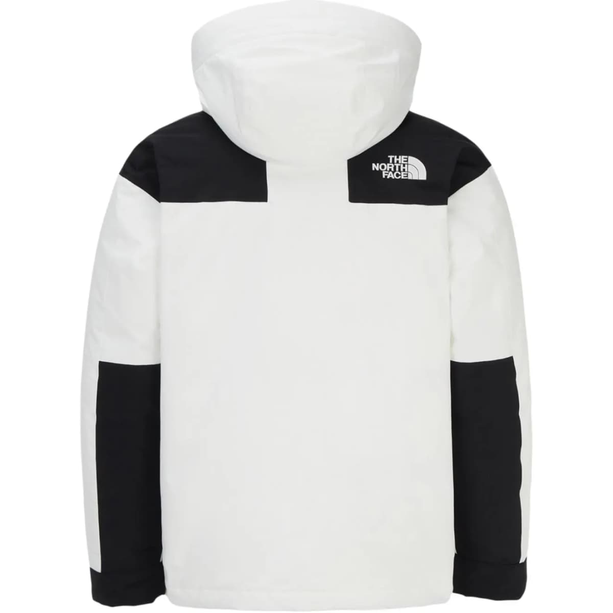 THE NORTH FACE MOUNTAIN RDS Kapüşonlu Pencək Kişi Ağ 2