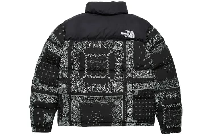 THE NORTH FACE 1996 Collection Kişi Qış Pencəyi Qara 2