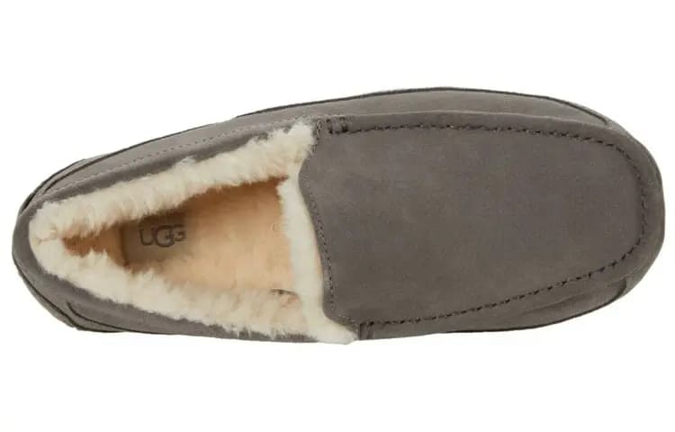 UGG Ascot Slipper Boz 4