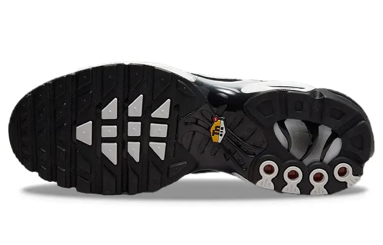 Nike Air Max Plus Qara/Gümüşü/Ağ 6