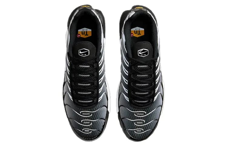 Nike Air Max Plus Qara/Gümüşü/Ağ 4