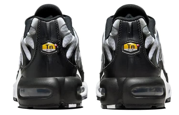 Nike Air Max Plus Qara/Gümüşü/Ağ 5