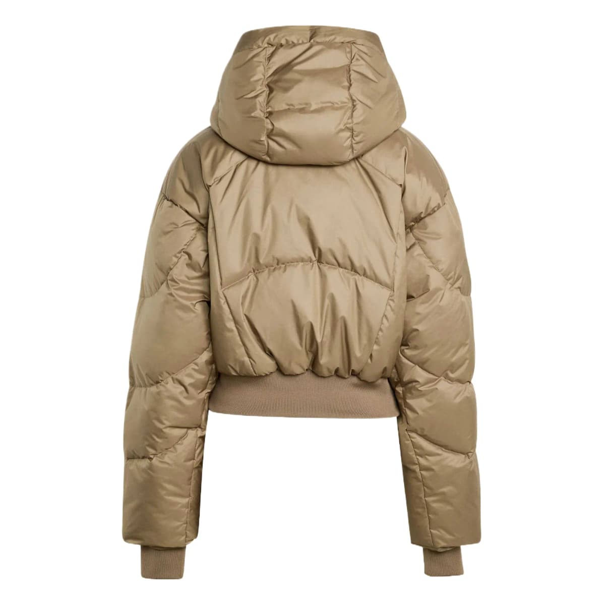adidas CROPPED WIND.RDY PADDED WINTER Qadın Puffer Kurtkası 2