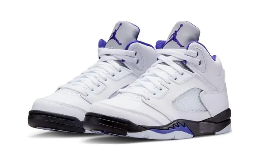 Jordan 5 Retro Dark Concord PS 3