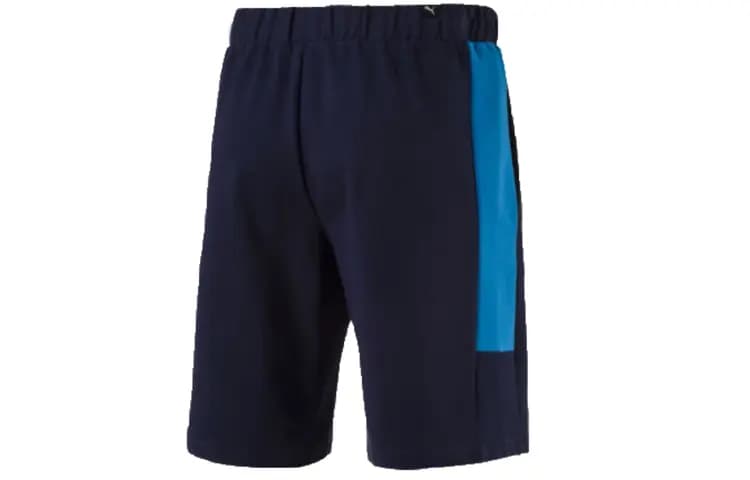 PUMA SUMMER REBEL Gündəlik Şort Kişi 2