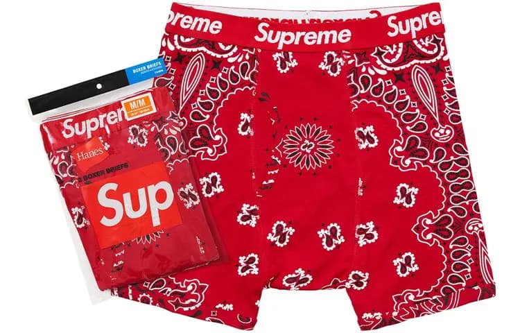 Supreme Hanes Bandana Boxer Briefs 2-li Ağ 2
