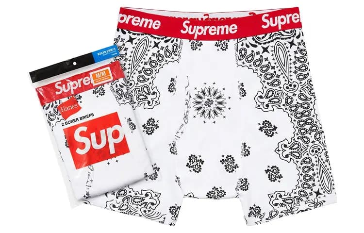 Supreme Hanes Bandana Boxer Briefs 2-li Ağ 3