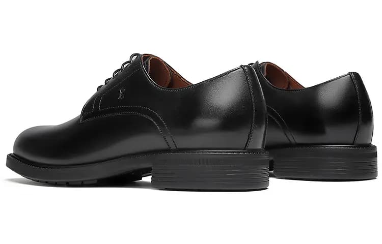 ROBERTA DI CAMERINO Top-Grain Leather Shoe Polish Included Matte Comfortable Daily Formal Leather Shoes Men's Black 6
