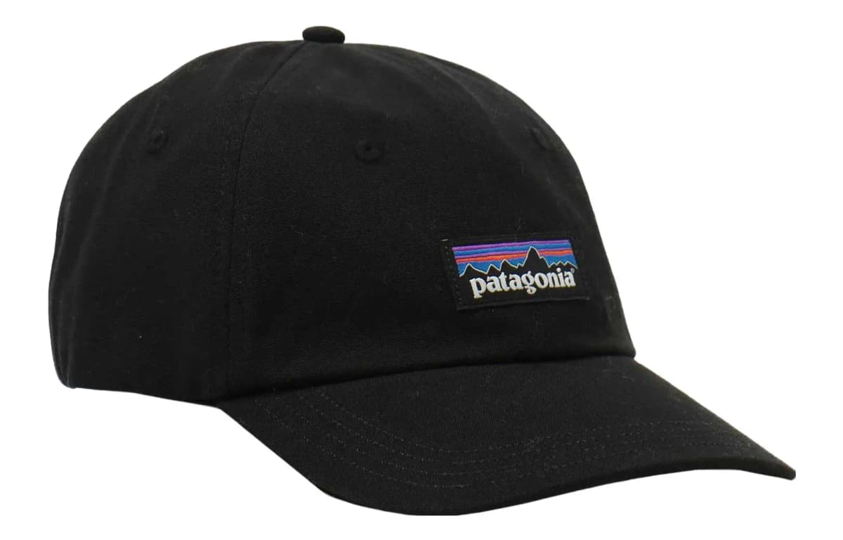 Patagonia Trad Baseball Kepkası 3