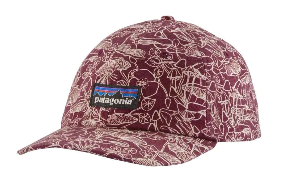 Patagonia Trad Baseball Kepkası 10