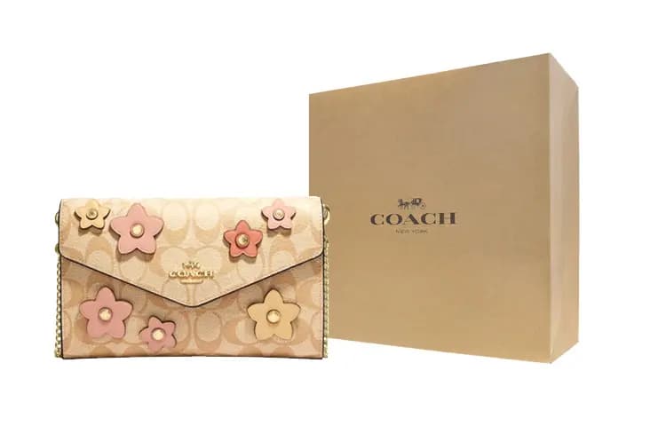 COACH Envelope 21 Floral Embellished Qadın Çantası Xaki 4