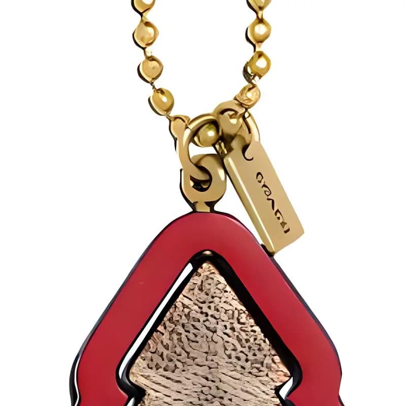 COACH Classic Signature Swivel Tree Dəri Çanta Aksessuarı Qadın Qırmızı/Qəhvəyi 3