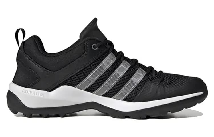 Adidas Terrex Daroga Plus Heat.Rdy 'Black' 2
