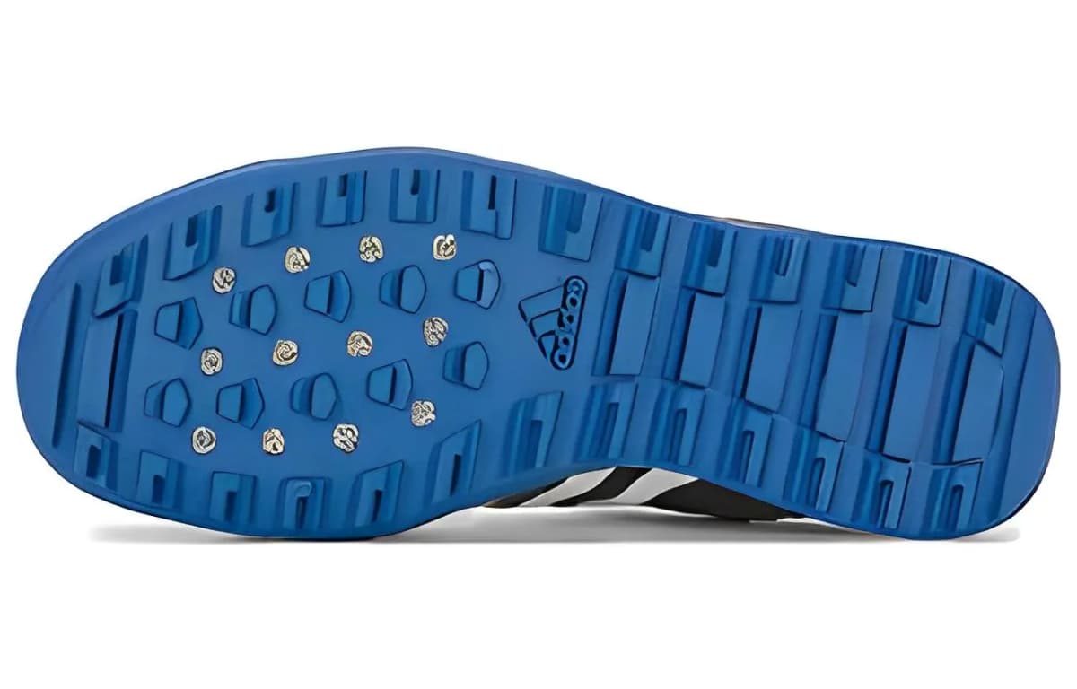 Adidas Terrex Daroga Two 13 Heat.RDY 'Royal Blue' 5