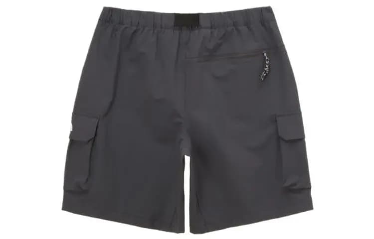 THE NORTH FACE Cargo Unisex Şort Boz 2