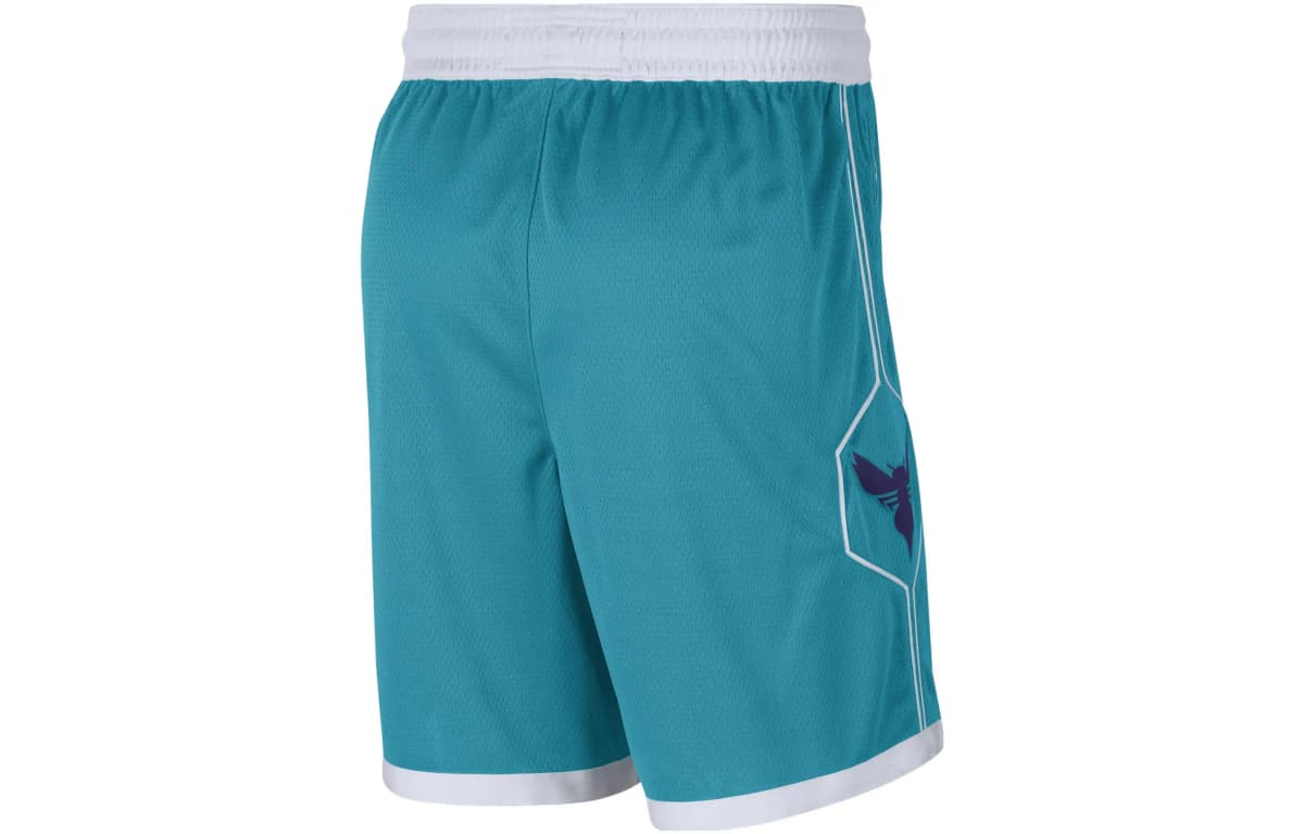 Jordan Hornets Team ICON Edition 2020 Basketbol Şortu Kişi Firuzəyi 2