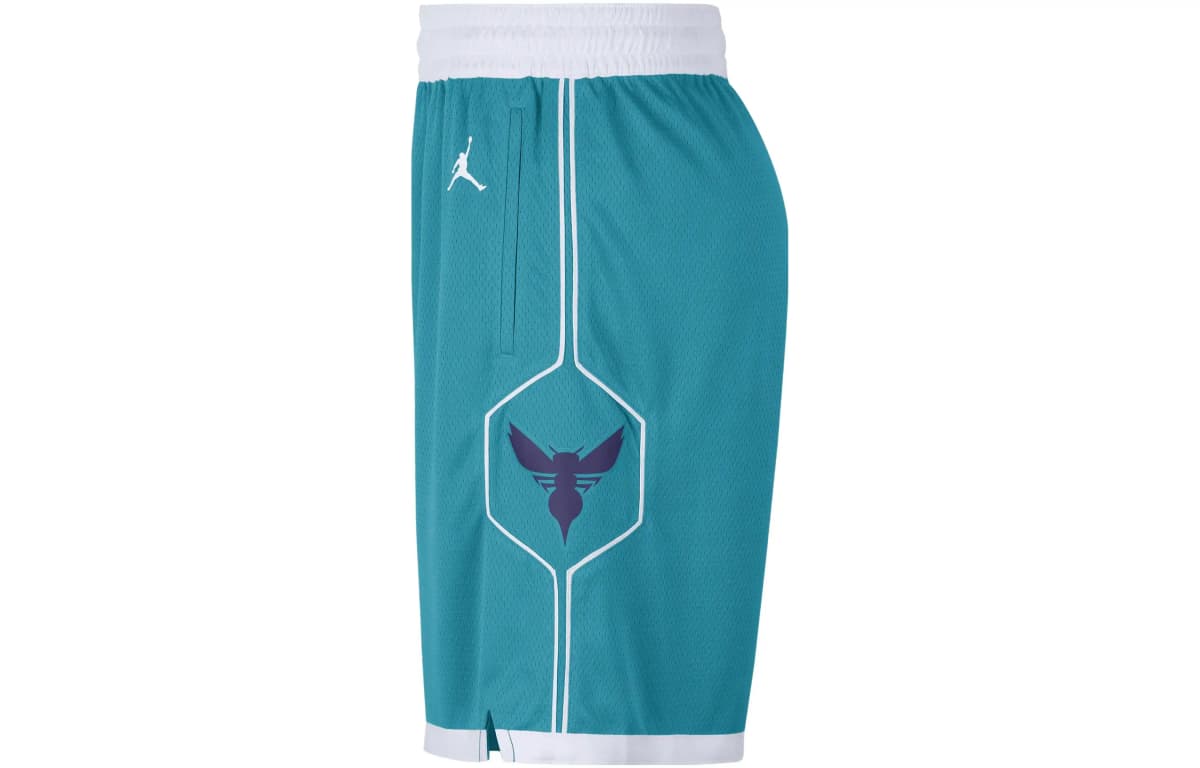 Jordan Hornets Team ICON Edition 2020 Basketbol Şortu Kişi Firuzəyi 3
