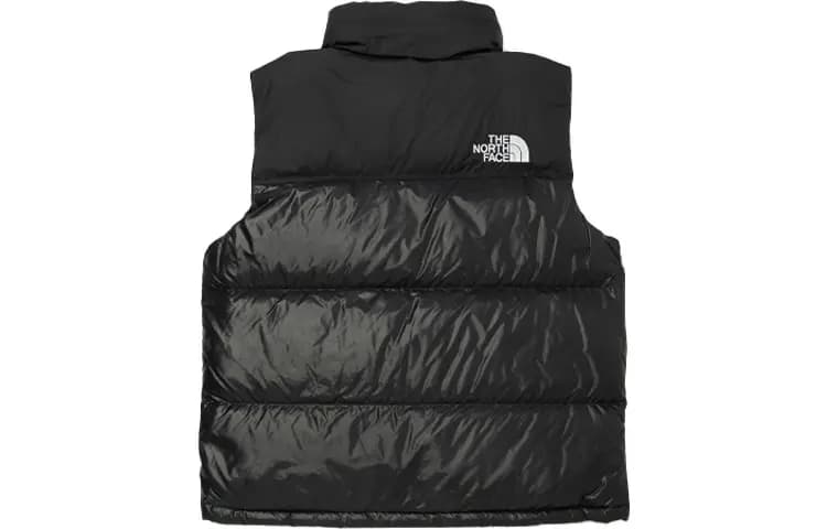 THE NORTH FACE FW23 Unisex Jilet Qara 2