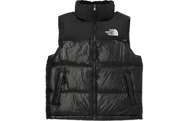 THE NORTH FACE FW23 Unisex Jilet Qara