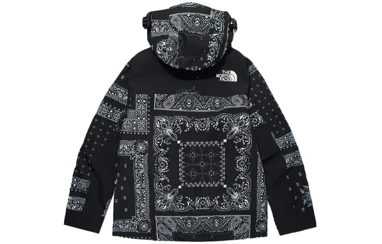 THE NORTH FACE Eco Gtx Mountain Jacket Black Korea Version 2