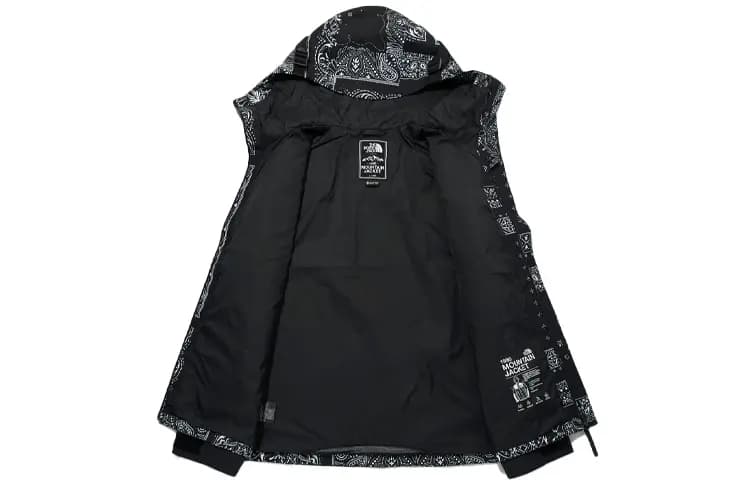THE NORTH FACE Eco Gtx Mountain Jacket Black Korea Version 3
