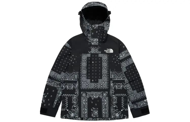 THE NORTH FACE Eco Gtx Mountain Jacket Black Korea Version
