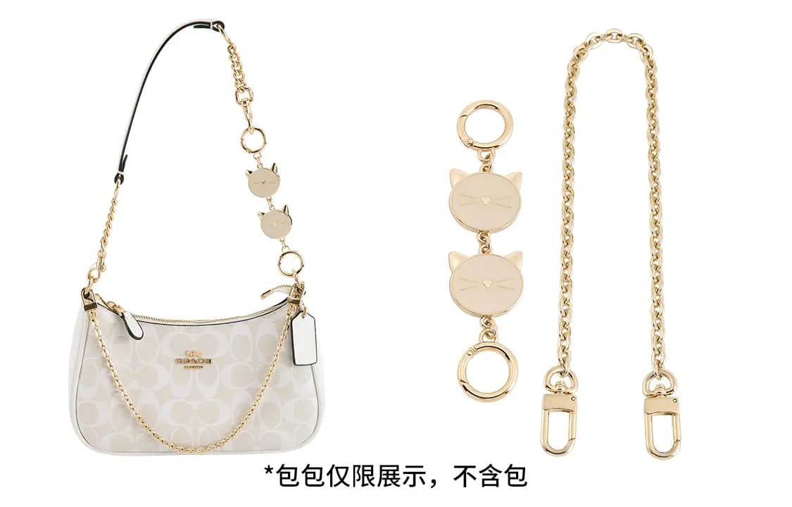 Luxury Care Artisan Workshop Metal Bag Strap Women's Gold tone 8