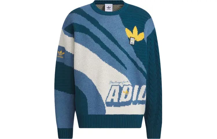 Adidas Originals Pullover Kişi