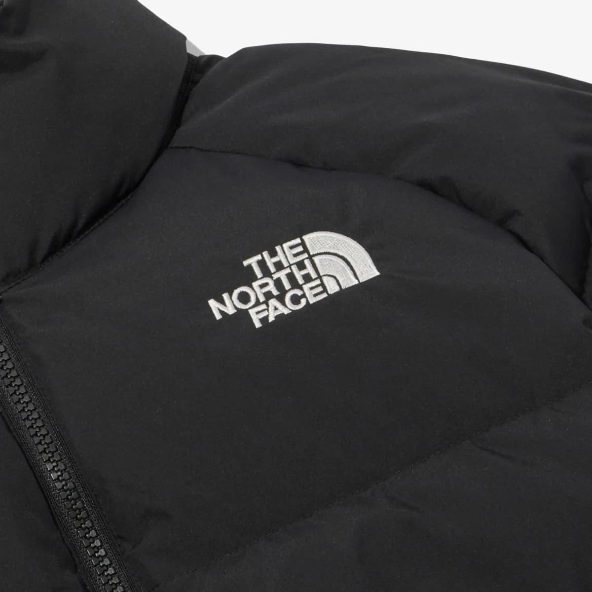 THE NORTH FACE FW23 LOFTY DOWN JACKET V2 Logo Embroidery Casual Stand Collar Zipper Short Puffer Down Jacket Unisex Black 3