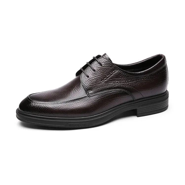 Goldlion Calf Leather Lined Warm Business Commute Formal Leather Shoes Men's 5