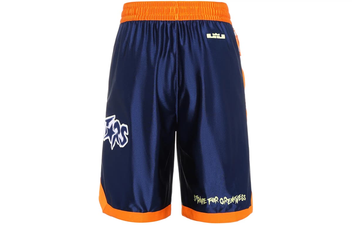 Nike SS20 LeBron x Monstars DNA Kişi Basketbol Şortu Göy 4