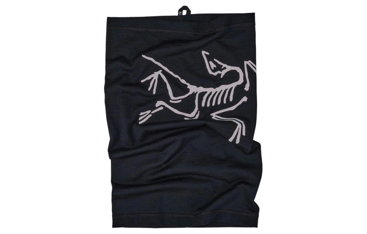 Arcteryx Şərf Kişi 2