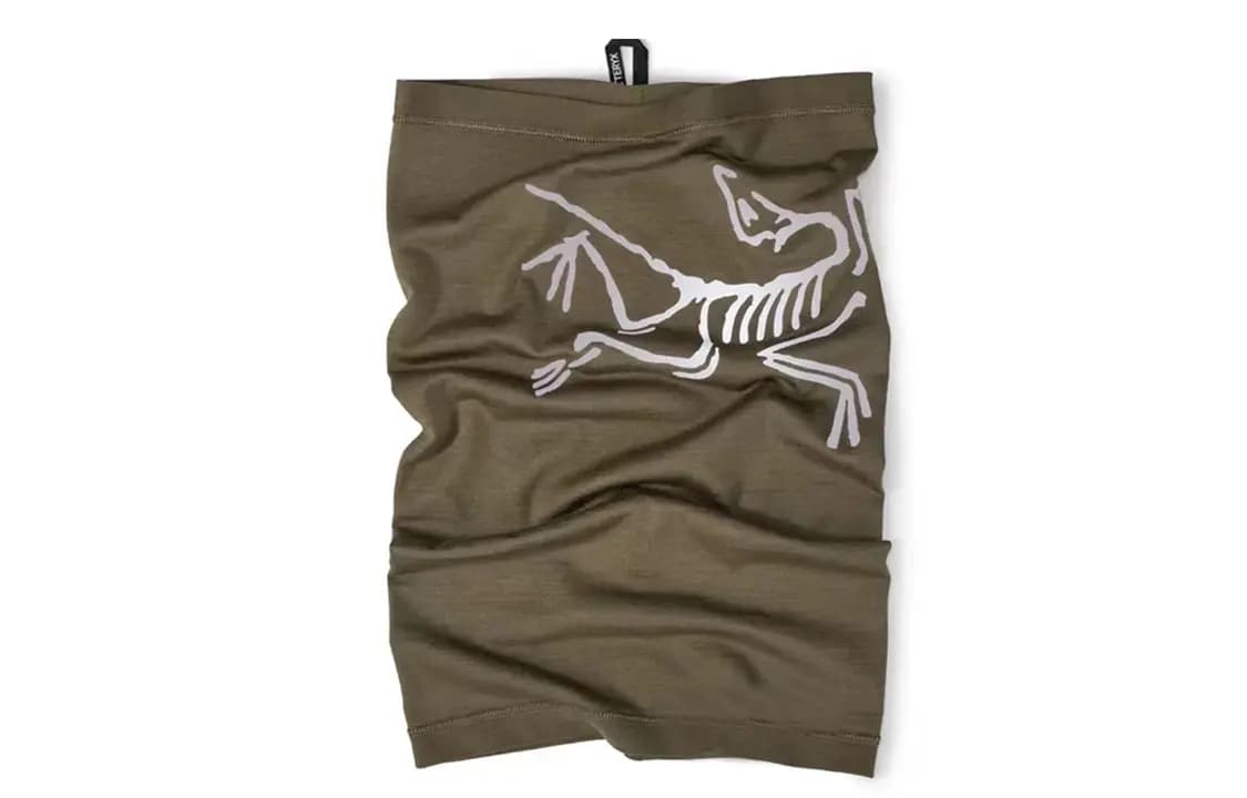 Arcteryx Şərf Kişi 3