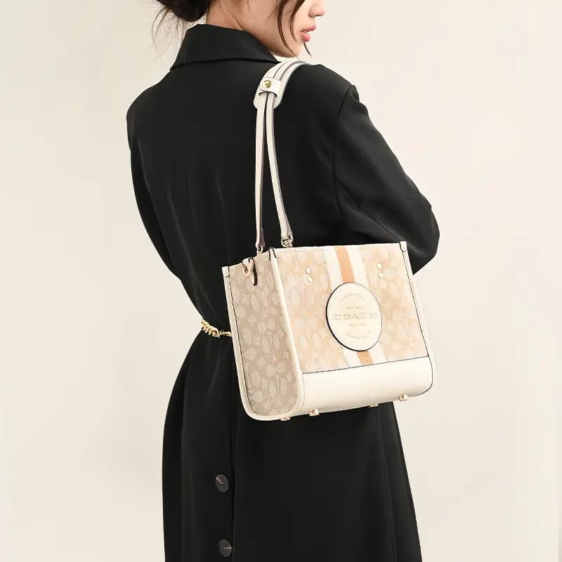 Lanbaofan Coach Dempsey 22 Tote Accessories Microfiber Strap Felt Liner Qadın Off-White 34