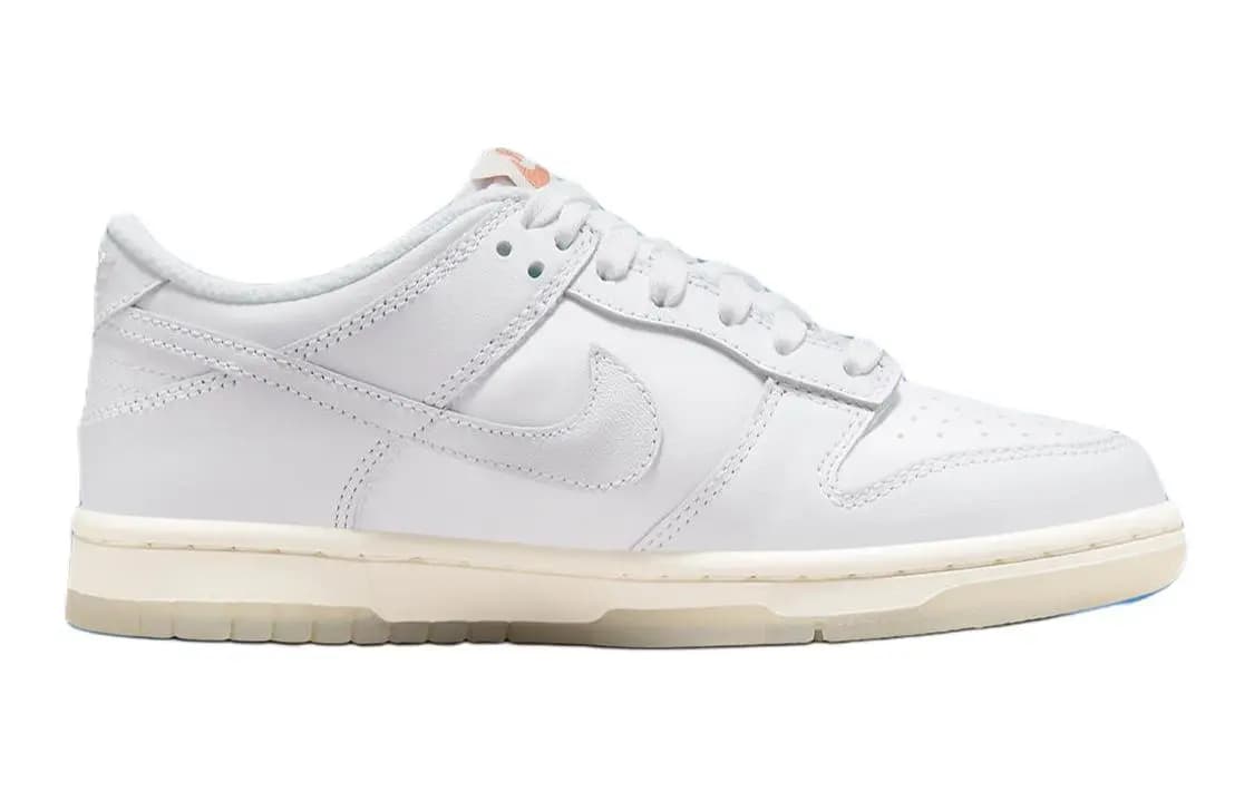 Nike Dunk Low SE Rainbow Lace Swoosh Ağ PS 2