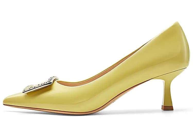 NINE WEST Pointed Toe Buckle Pumps 6sm Qadın 22
